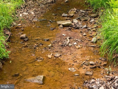 Rare 2-acre opportunity in Sleepy Hollow! . Build your mountain - photo 31