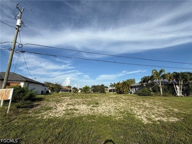 Beautiful canal lot in a desirable, fast-growing area of Cape - photo 1