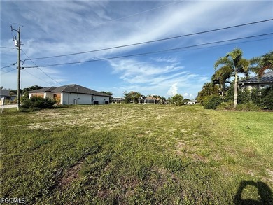 Beautiful canal lot in a desirable, fast-growing area of Cape - photo 2