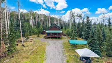 (private lake, pond, creek) Home For Sale in Montrose Colorado