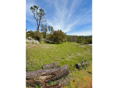 Black Hawk Lake Lot For Sale in Coarsegold California