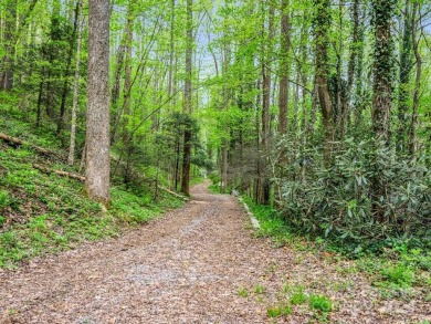 Chocowinity Bay Lot For Sale in Hendersonville North Carolina