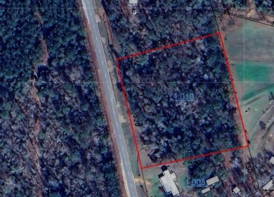 Lake Acreage For Sale in Abbeville, Alabama