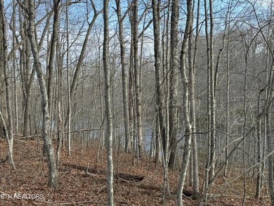 Beautiful wooded 1.5Acre lot in the Quiet Country Setting of - photo 1