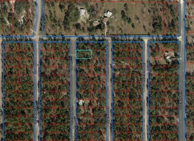 Bonable Lake Lot For Sale in Dunnellon Florida