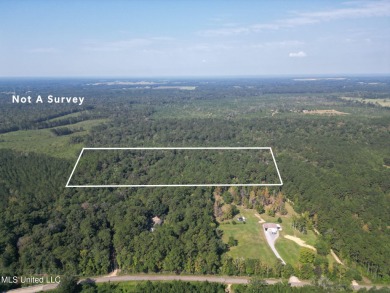 Lake Acreage For Sale in Poplarville, Mississippi
