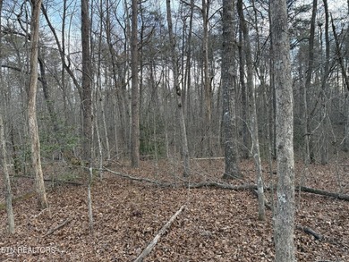 Beautiful wooded 1.5Acre lot in the Quiet Country Setting of - photo 2