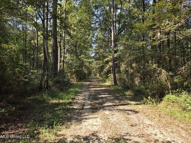 Escape to nature with this beautiful 21.79+/- acre wooded - photo 2