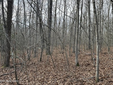 Beautiful wooded 1.5Acre lot in the Quiet Country Setting of - photo 3