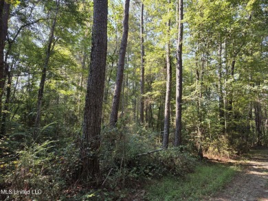 Escape to nature with this beautiful 21.79+/- acre wooded - photo 3