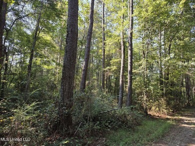 Escape to nature with this beautiful 21.79+/- acre wooded - photo 4