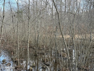 Beautiful wooded 1.5Acre lot in the Quiet Country Setting of - photo 5