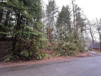 Lake Lot For Sale in Rhododendron, Oregon