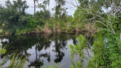 Own your own waterfront property in Cape Coral, Florida. This - photo 4