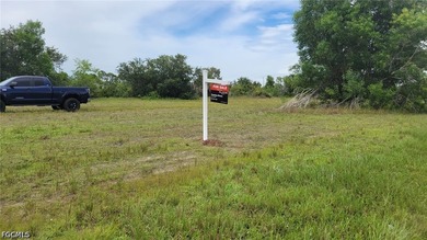 Own your own waterfront property in Cape Coral, Florida. This - photo 5