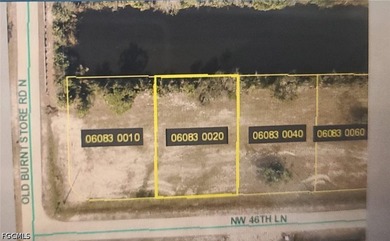 Own your own waterfront property in Cape Coral, Florida. This - photo 7