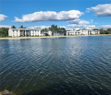 It Is Difficult To Find A Nice Lakefront Condo On The 1st Floor - photo 2
