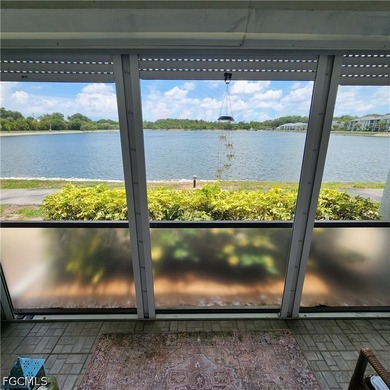 It Is Difficult To Find A Nice Lakefront Condo On The 1st Floor - photo 7