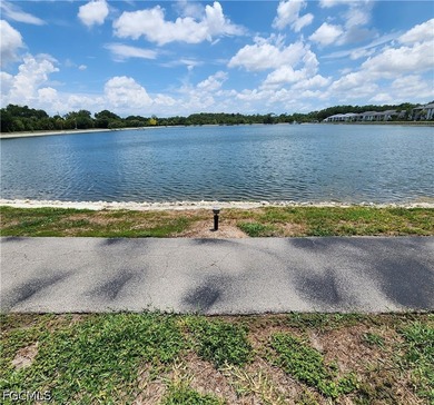 It Is Difficult To Find A Nice Lakefront Condo On The 1st Floor - photo 10