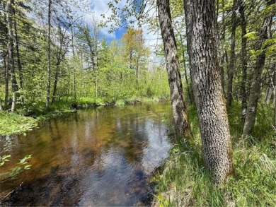 Lake Lot For Sale in Dell Grove Twp, Minnesota