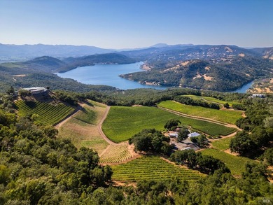 Gandona Wine Estate is located on prestigious Pritchard Hill and - photo 2