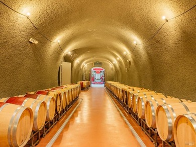 Gandona Wine Estate is located on prestigious Pritchard Hill and - photo 10
