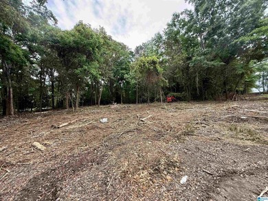 1.17+/- acre waterfront lot on the Coosa River/Lay Lake in - photo 11