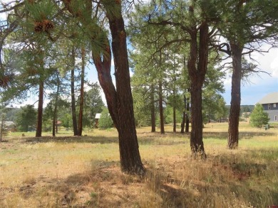 Hatcher Reservoir Lot For Sale in Pagosa Springs Colorado