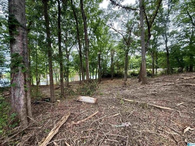 1.17+/- acre waterfront lot on the Coosa River/Lay Lake in - photo 12