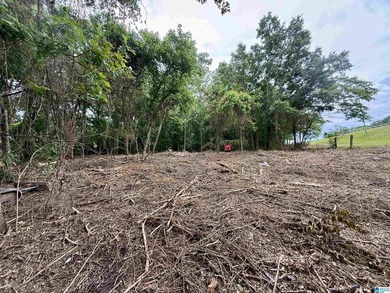 1.17+/- acre waterfront lot on the Coosa River/Lay Lake in - photo 13