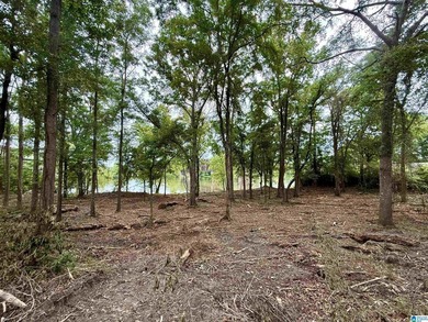 1.17+/- acre waterfront lot on the Coosa River/Lay Lake in - photo 15