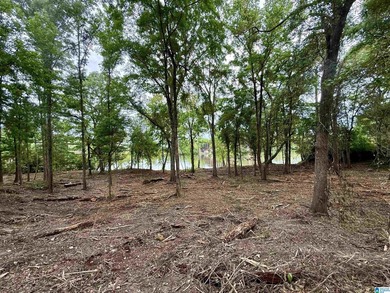 1.17+/- acre waterfront lot on the Coosa River/Lay Lake in - photo 16