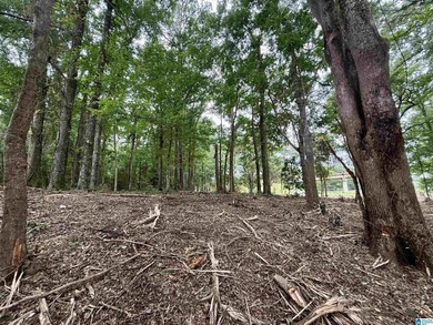 1.17+/- acre waterfront lot on the Coosa River/Lay Lake in - photo 17