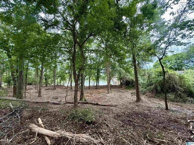 1.17+/- acre waterfront lot on the Coosa River/Lay Lake in - photo 18