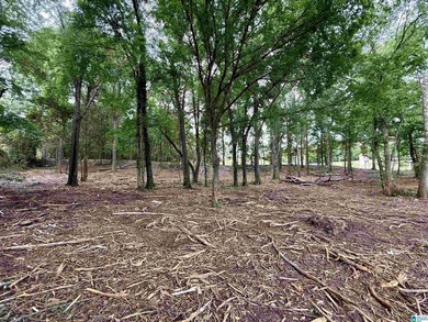 1.17+/- acre waterfront lot on the Coosa River/Lay Lake in - photo 19