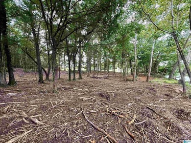 1.17+/- acre waterfront lot on the Coosa River/Lay Lake in - photo 20