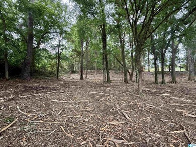 1.17+/- acre waterfront lot on the Coosa River/Lay Lake in - photo 21