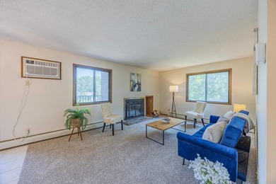 Charming 2 Bed, 2 Bath End-Unit Condo in Prime Bloomington - photo 21