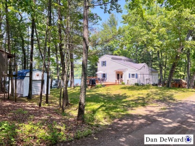 Lake Home For Sale in Newaygo, Michigan