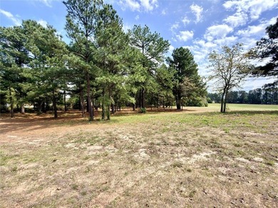 Build your custom home on 2.038 acres in Waters Edge Ranch with - photo 11