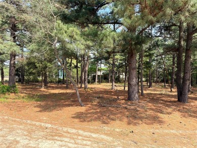 Build your custom home on 2.038 acres in Waters Edge Ranch with - photo 12