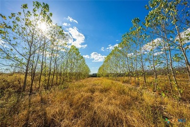 Lake Palestine Ranch is a rare offering, being the largest - photo 17
