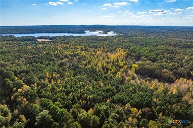 Lake Palestine Ranch is a rare offering, being the largest - photo 18