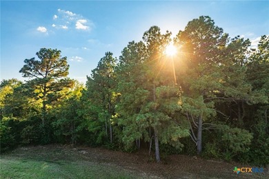 Lake Palestine Ranch is a rare offering, being the largest - photo 23