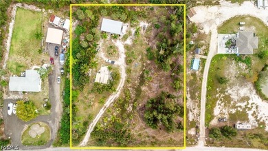 This is the one!! Your very own *Homestead Starter Kit* zoned - photo 1