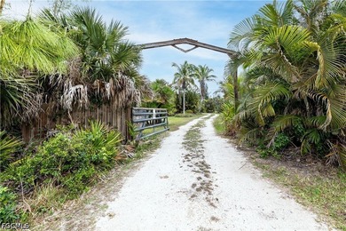 This is the one!! Your very own *Homestead Starter Kit* zoned - photo 2