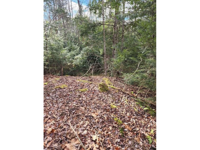Wooded Privacy, Water Access, and Ready to Build aEUR* 3.5 Acres - photo 3