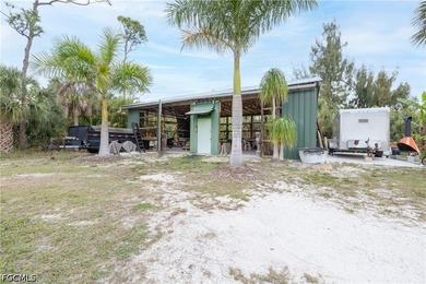 This is the one!! Your very own *Homestead Starter Kit* zoned - photo 5