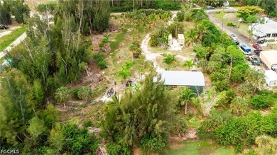 This is the one!! Your very own *Homestead Starter Kit* zoned - photo 6