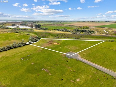 ** 4.23 Acres | 4.2 Acres Water Rights | Hermiston Irrigation - photo 3